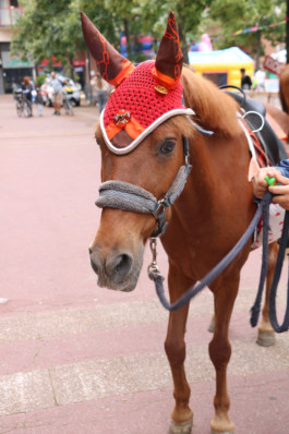 Mohamed Bourouissa